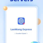Laowang VPN App